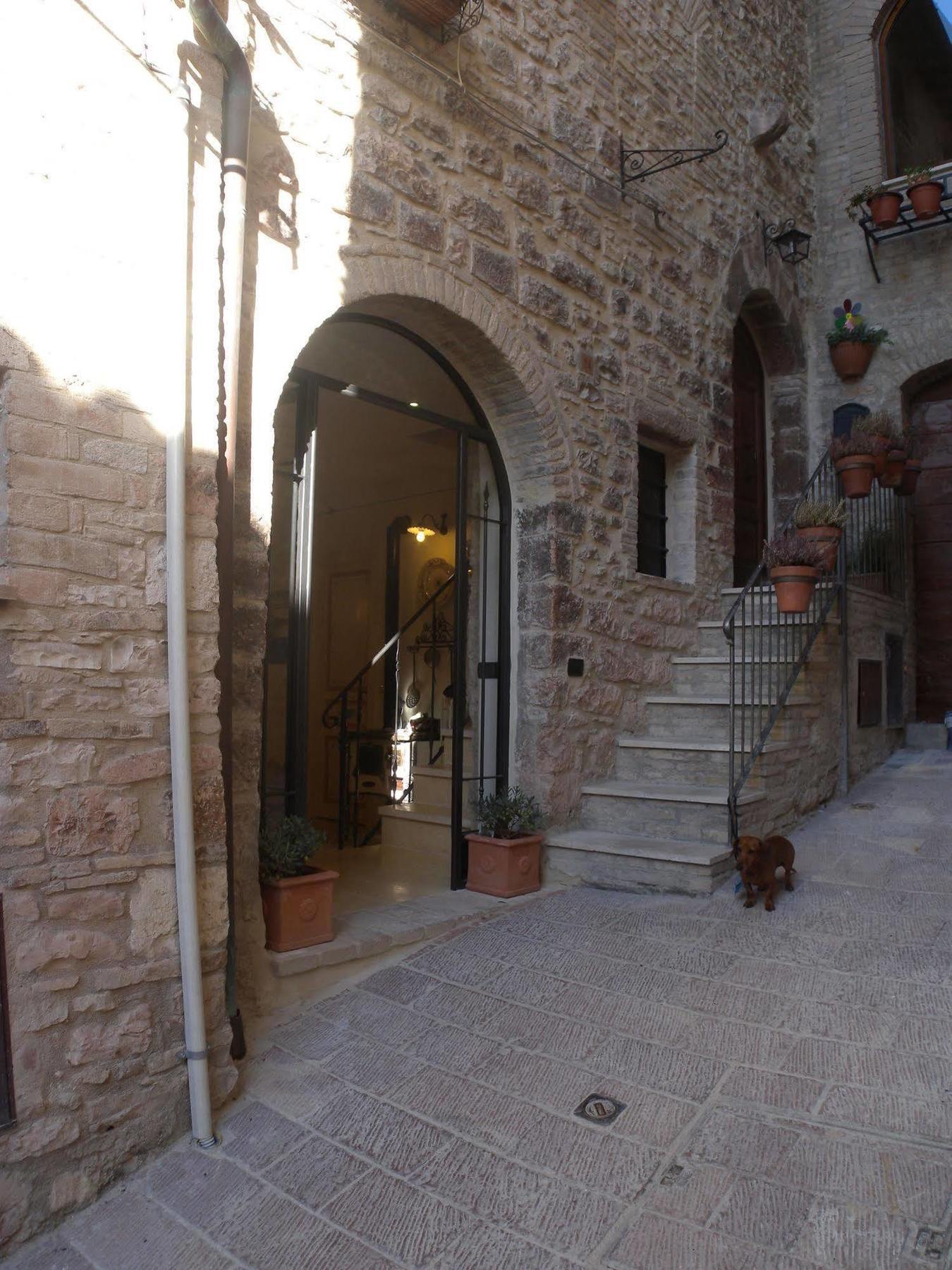 Bed And Breakfast A Casa Delle Fate Assisi Eksteriør billede